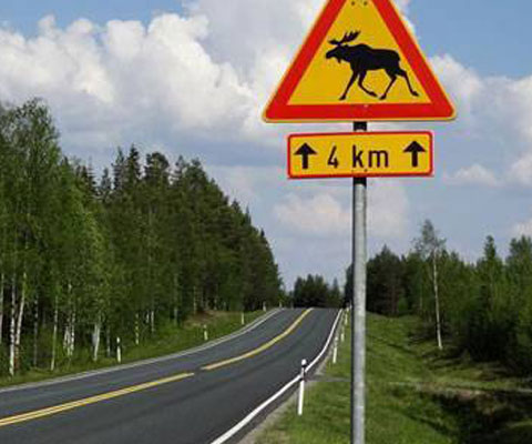 Poteau Rond de Signalisation en Acier Galvanisé et Thermolaqué